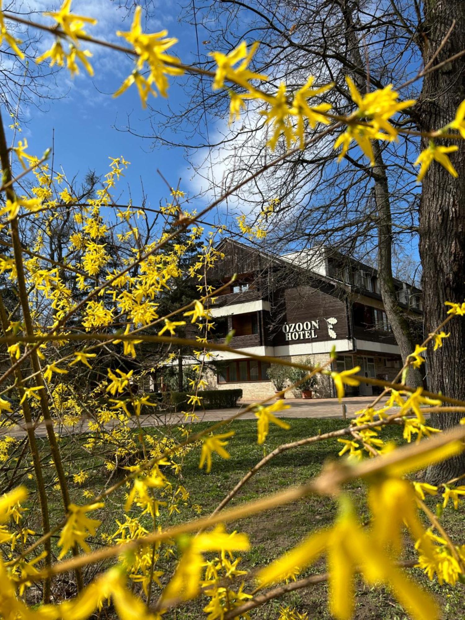 Ozoon Hotel Nyíregyháza Exteriér fotografie